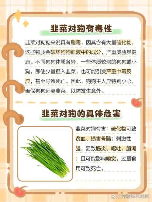 狗狗吃了韭菜会怎样?