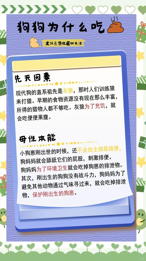 小狗吃自己的便便怎么办