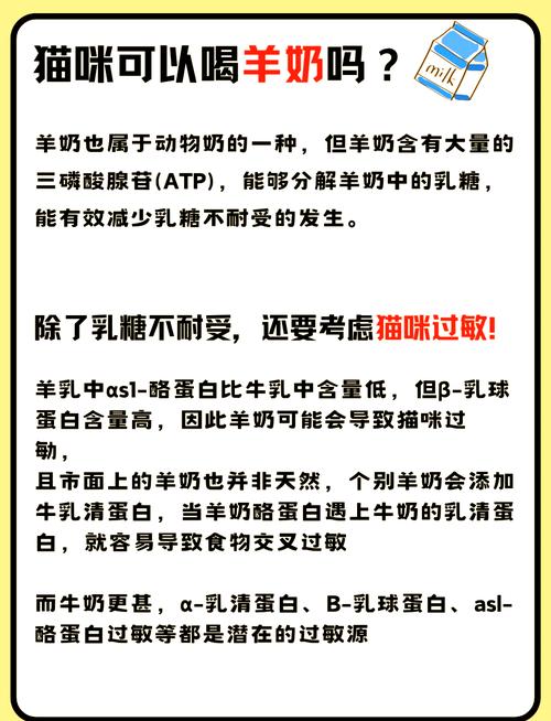 猫咪喝点纯牛奶没事吧?