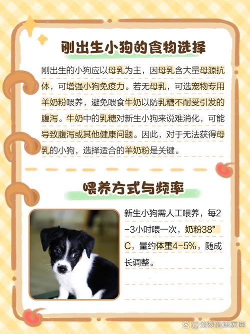 刚出生小狗吃什么食物比较好