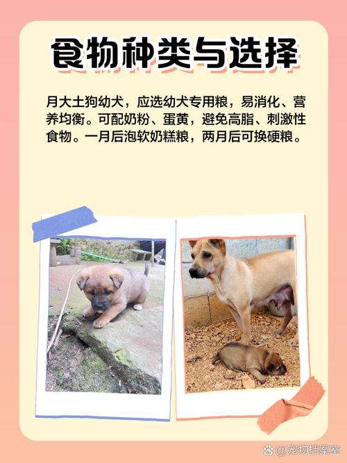 一个月土狗小狗幼崽吃什么