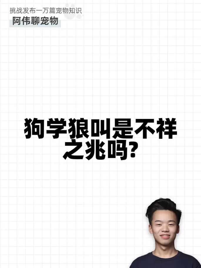 狗狗干嘛要“学狼叫”?原来是预示着这几件事!