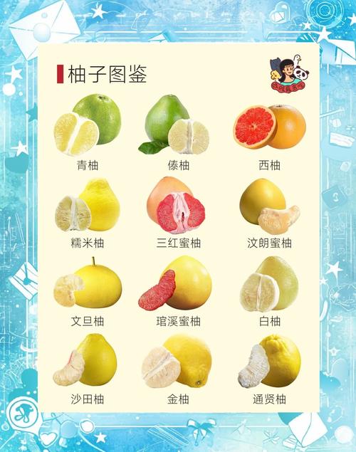 猫不能吃什么水果