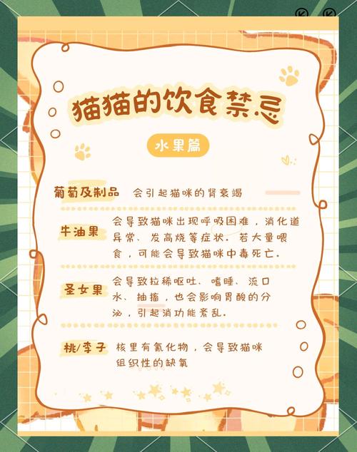 猫咪不能吃的水果有哪些?