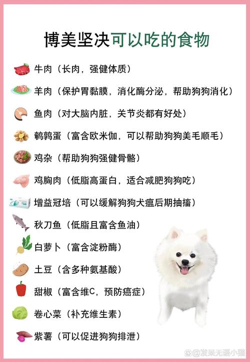 博美幼犬可以喝乳酸菌饮料吗