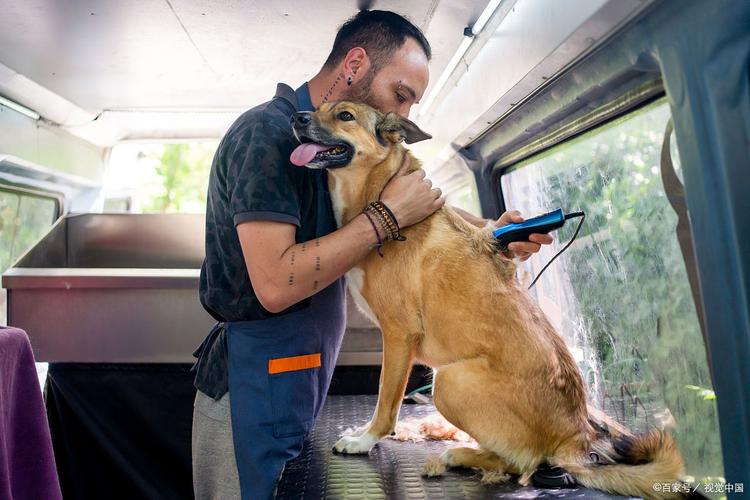 火车上可以带狗狗吗