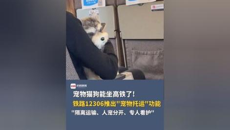 宠物猫狗能带上火车吗