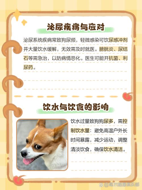 狗狗尿液像清水量大,狗狗尿清水一样的尿有没有事