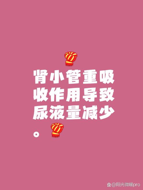 狗狗不同尿液颜色代表什么