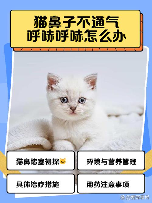 布偶猫总发出呼呼呼的声音还偶尔咳嗽是怎么回事?