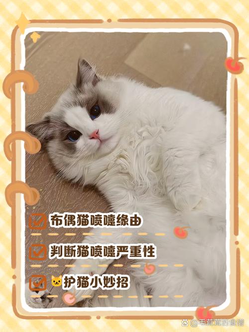 小猫喘气有声音像拉风箱一样