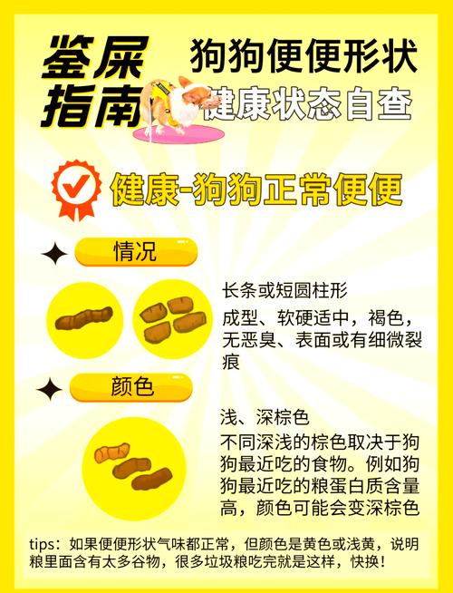 狗狗拉屎很臭是因为什么