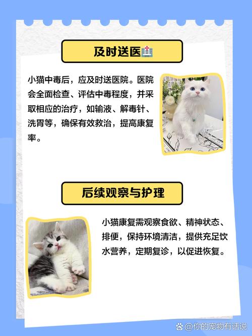猫中毒可以自己治愈吗