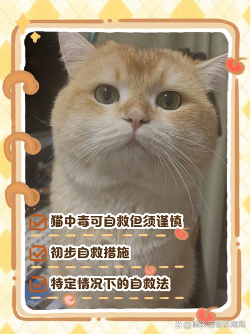 猫中毒的症状