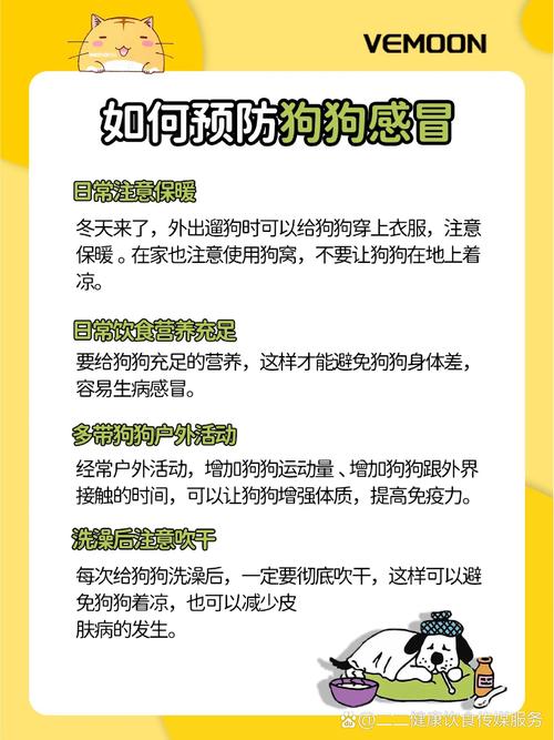 狗狗淋雨后不吃不喝怎么办