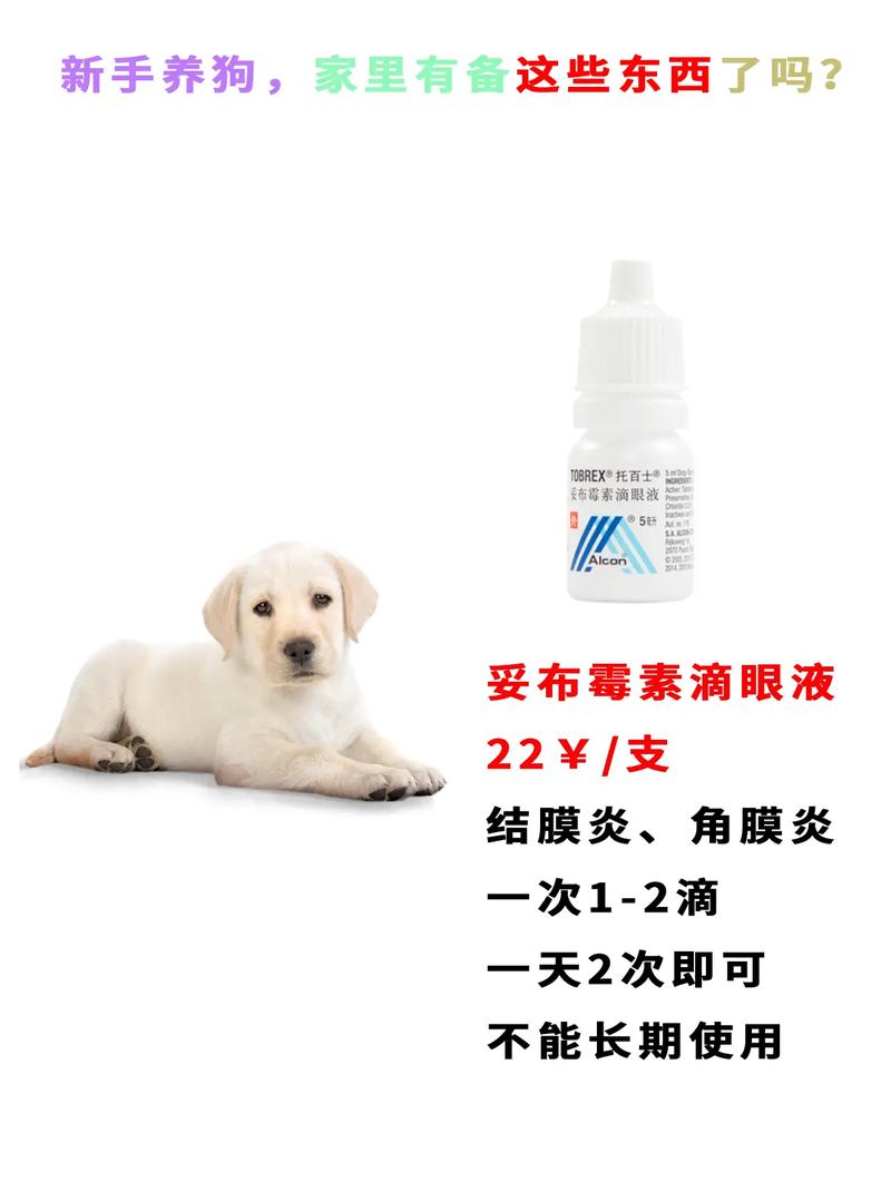 狗狗得了结膜炎,该怎么治疗?