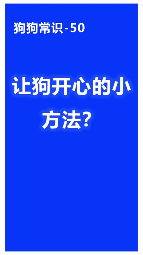 让狗狗开心的最佳方法