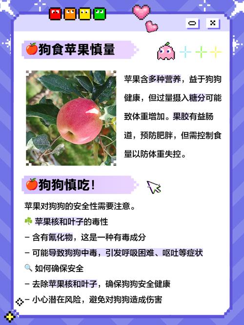 给狗狗每天吃苹果,对健康会有哪些影响?