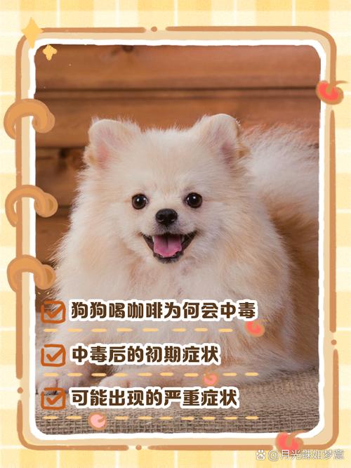 狗狗喝咖啡会死吗