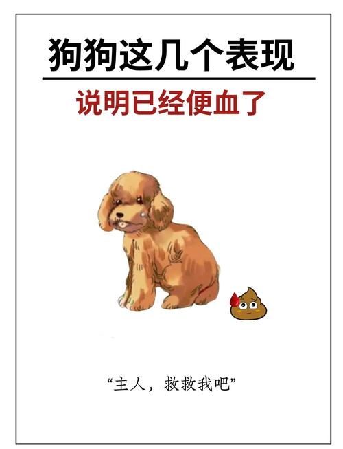 狗狗有点拉稀怎么办