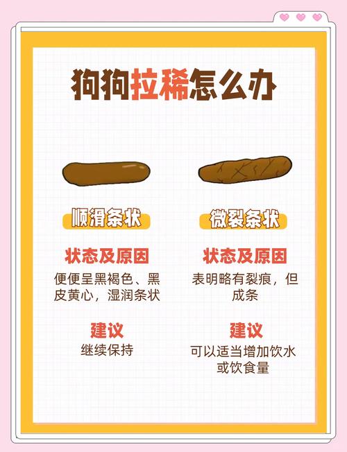 狗狗拉肚子了怎么办?