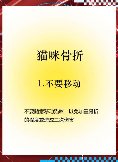 猫咪骨折怎么办