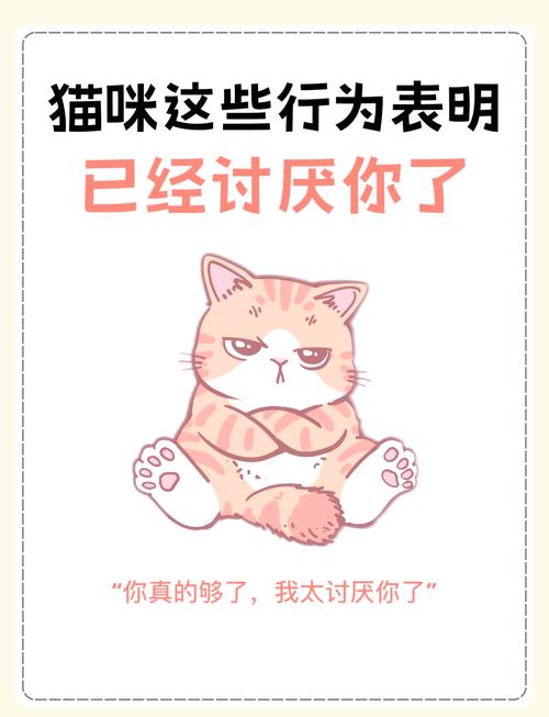 猫咪一旦出现这些行为,说明它很嫌弃你