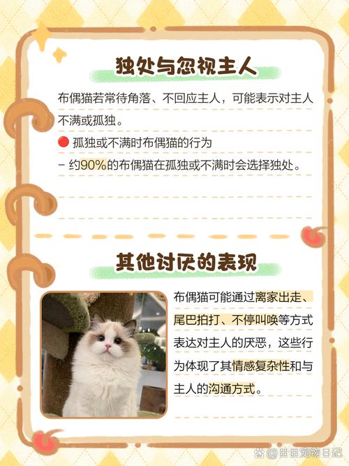 猫讨厌主人的表现