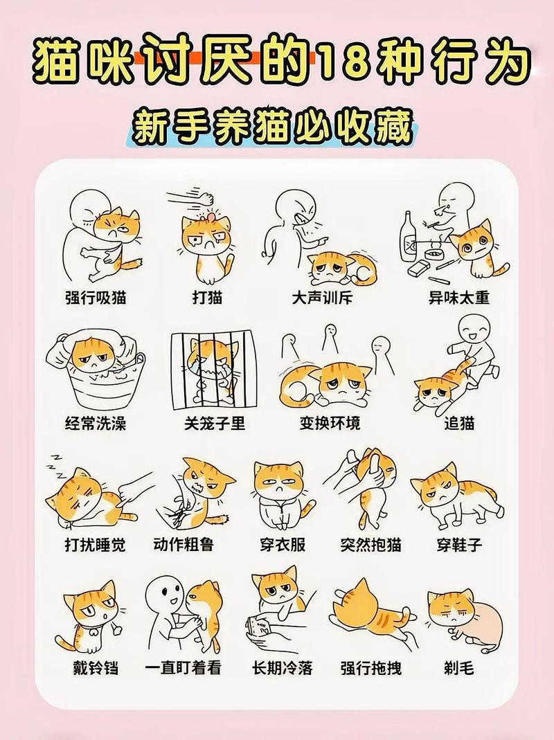 布偶猫讨厌主人的表现