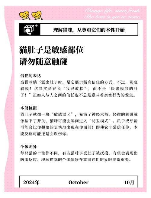 为什么新来的猫咪不让人摸它的肚子?