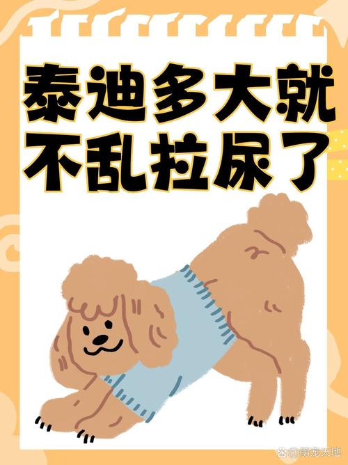 狗狗几个月能憋住尿