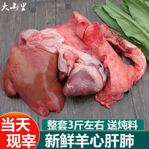 金毛可以吃羊肝羊肺羊心?