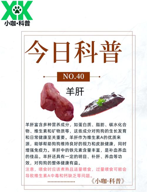 狗狗能吃羊肝羊肺吗