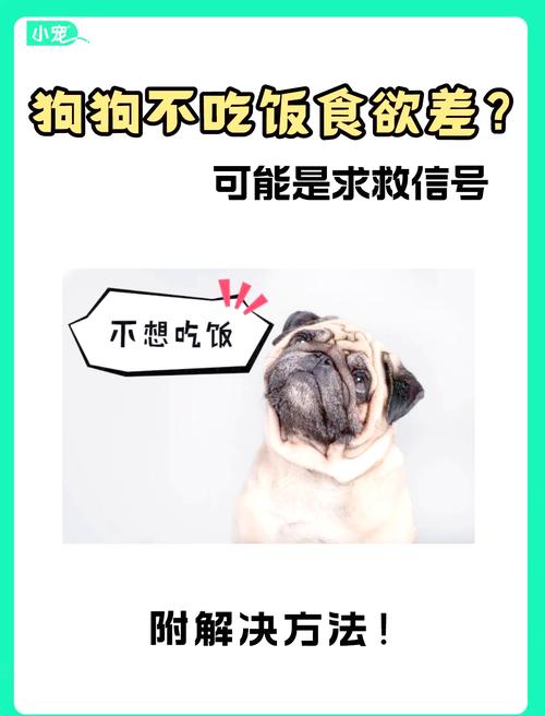 狗狗为什么不吃胡豆呢?