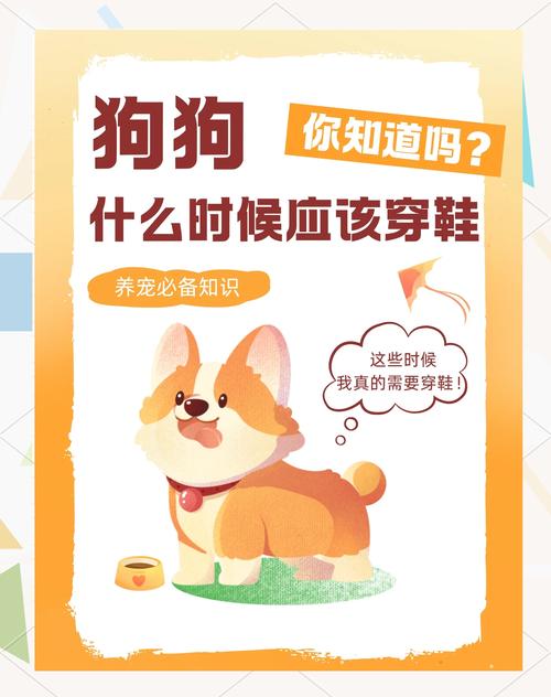 夏天该不该给狗狗穿鞋