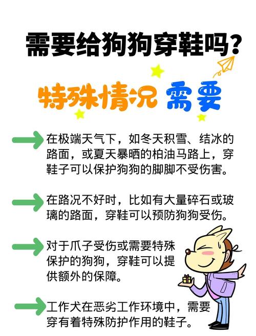 狗狗穿鞋子好吗