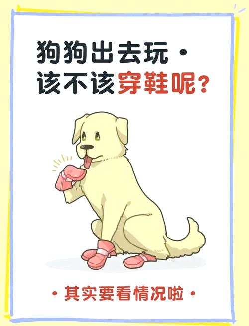 为什么狗狗不能穿鞋子
