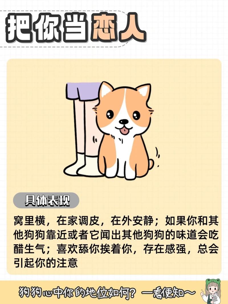 如何在狗狗面前树立威信呢?