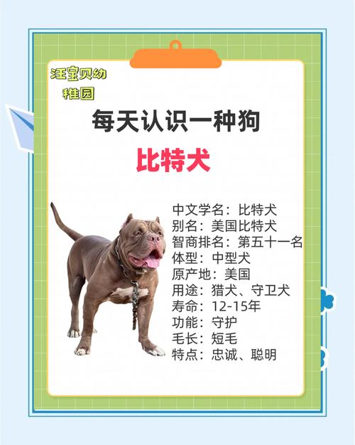 怎样狗狗面前建立主人的权威呢