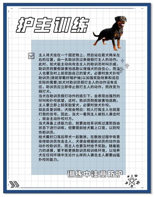 狗咬人怎么训