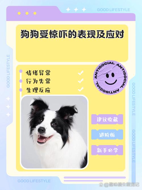 狗狗受到惊吓后的症状,狗狗被吓到了是什么症状