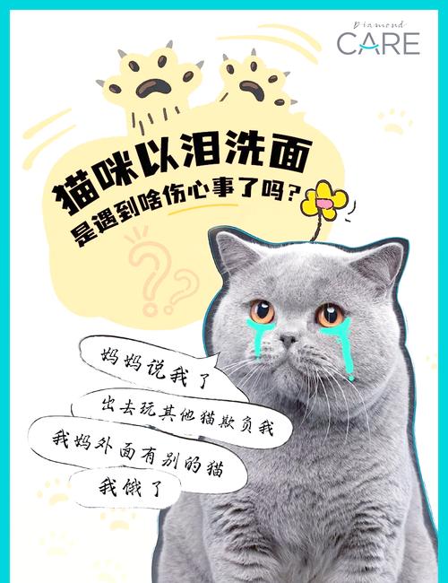 猫哭了代表什么预兆