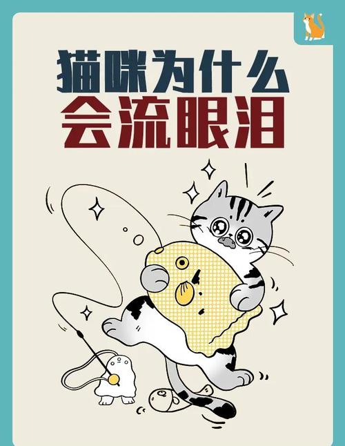 猫咪哭了是什么原因