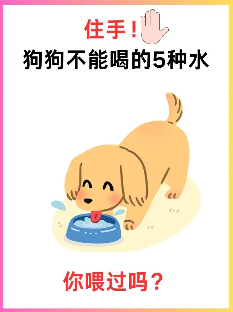 狗狗疝气最怕三种食物是什么