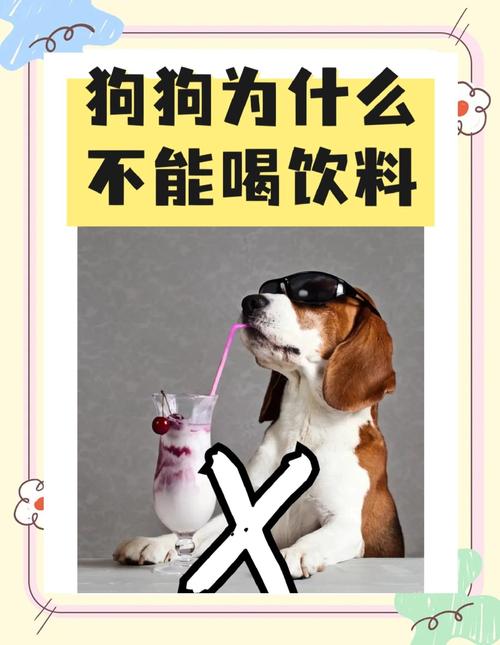 为什么狗狗不能喝可乐