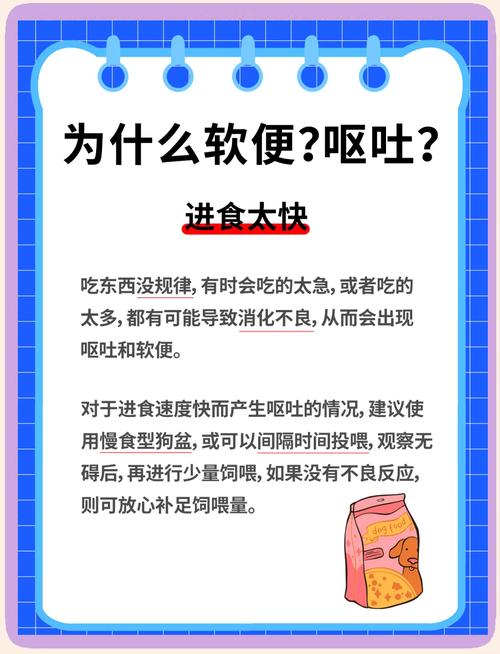 狗狗换狗粮拉肚子怎么办