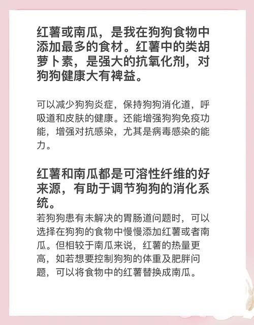 狗狗可以同时吃红薯和南瓜吗