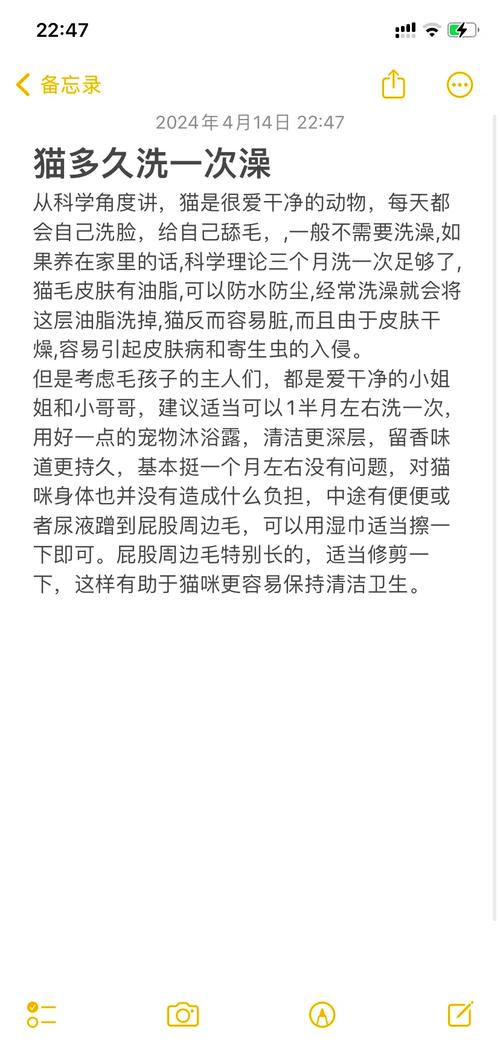 猫多久洗一次澡合适