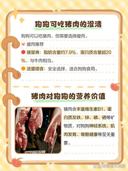 为什么狗狗要吃猪肉