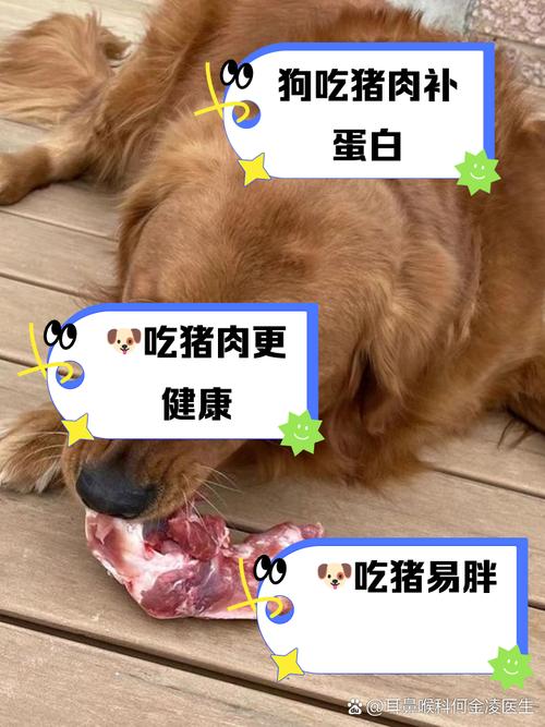 狗为什么不能吃猪肉